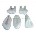 /msite/products/detail/productid/14014968/id/186332.html